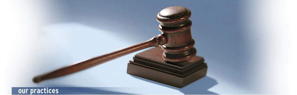 Practice Areas: Employment & Labour Law