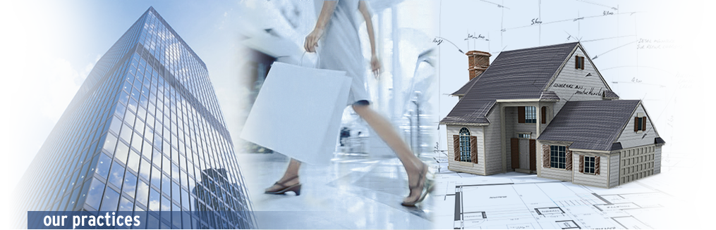 Practice Areas: Real Estate & Leasing